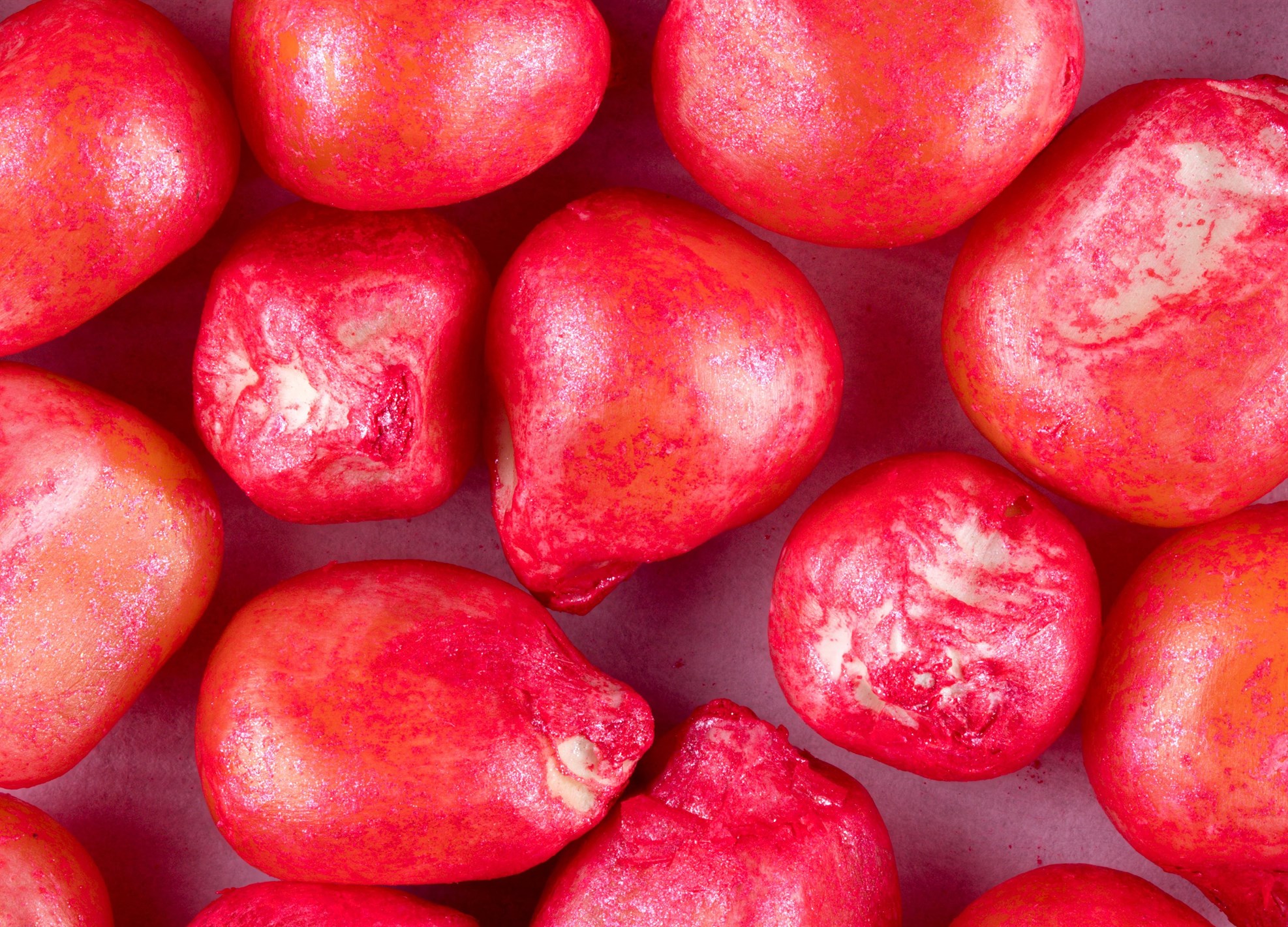 Seed Treatments Eden