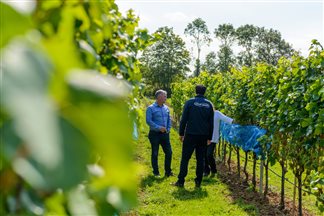 Partnering with Research Excellence in UK Viticulture